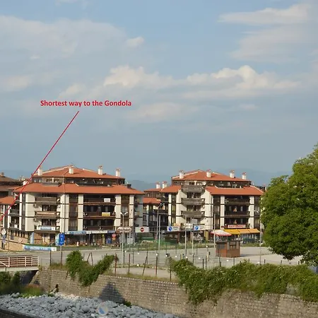 Pine Tree D34 Apartament