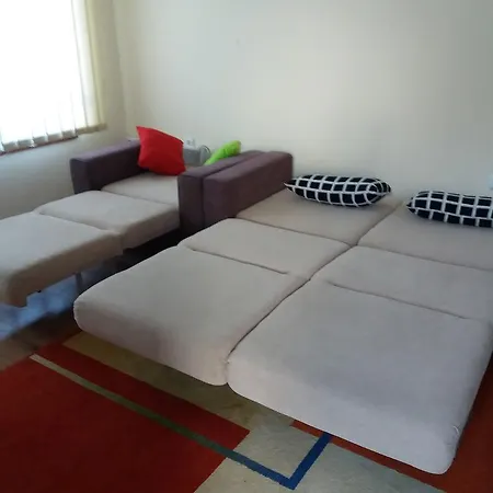 Pine Tree D34 بانسكو