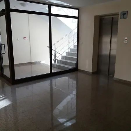 Pine Tree D34 Апартамент *