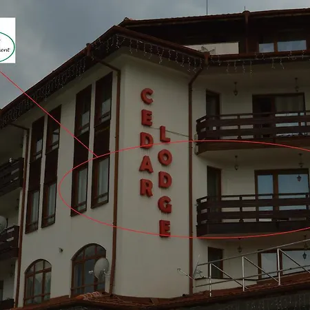 Pine Tree D34 * בנסקו