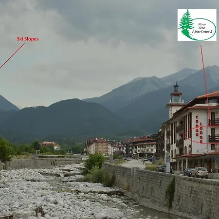 Апартаменты Pine Tree D34