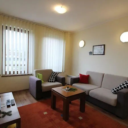 Pine Tree D34 バンスコ