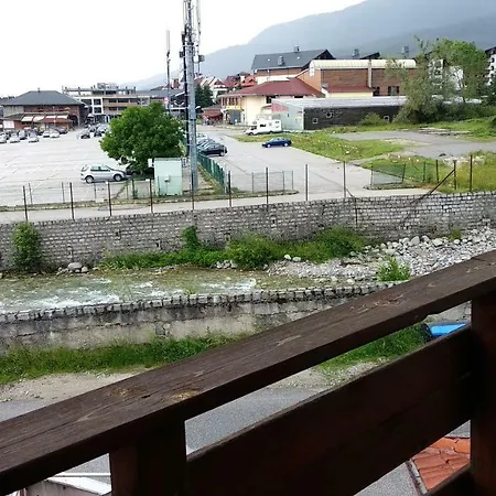 Pine Tree D34 Банско