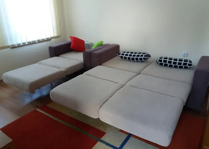 Pine Tree D34 Bansko