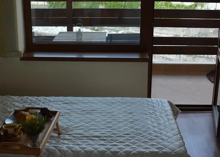 Pine Tree D34 * Bansko