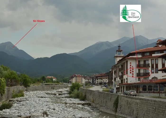 Apartament Pine Tree D34